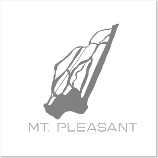 Mt. Pleasant Resort 3D Posters and Art